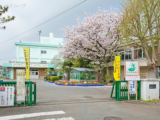 座間市立相模野小学校(約1,100m・徒歩14分)