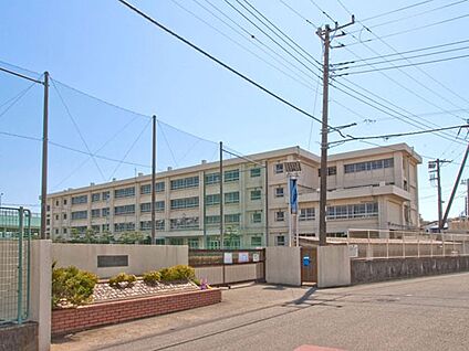 茅ヶ崎市立今宿小学校 900m(12分)