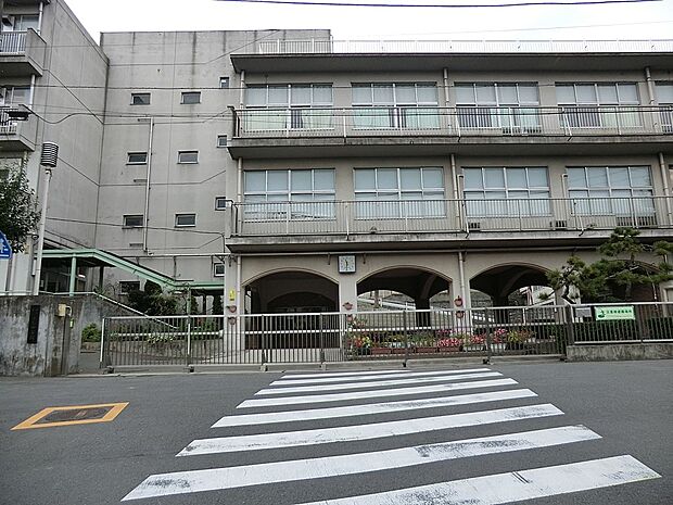 横浜市立老松中学校(約480m・徒歩6分)