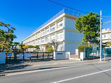 平塚市立金田小学校 1040m(13分)