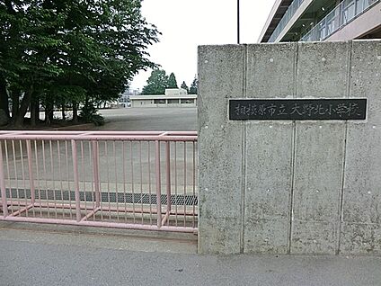 相模原市立大野北小学校 1400m(18分)