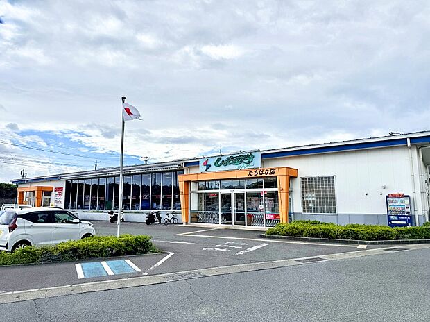 しまむらストアたちばな店(約1,700m・徒歩22分)