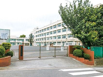 横浜市立中沢小学校 300m(4分)