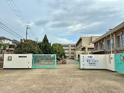 大開小学校 約425ｍ(徒歩6分)