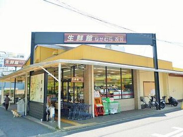 生鮮館なかむら衣笠店