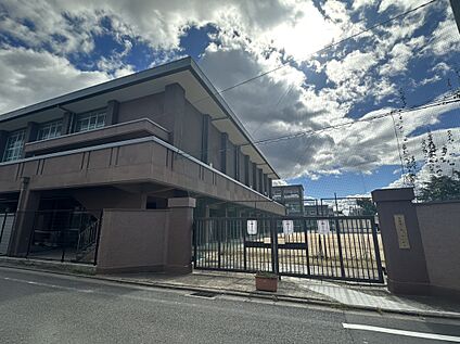 京都市立西ノ京中学校 約1584ｍ(徒歩20分)