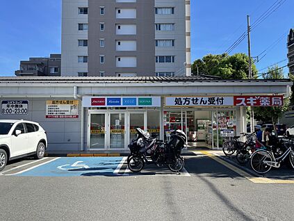 スギ薬局西大路店 約388ｍ(徒歩5分)
