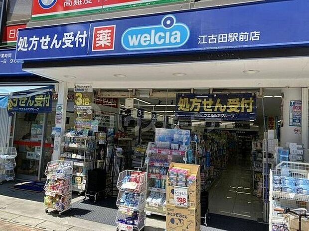 ウエルシア江古田駅前店(約750m)