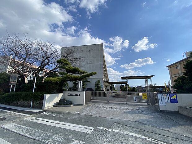 浜松市立萩丘小学校(約1,200m)