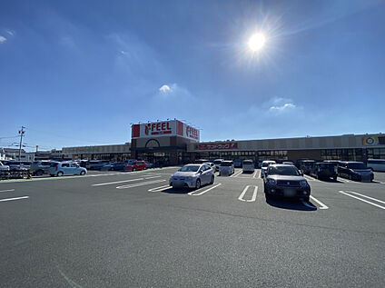 フィール 初生店 1200ｍ(徒歩15分)