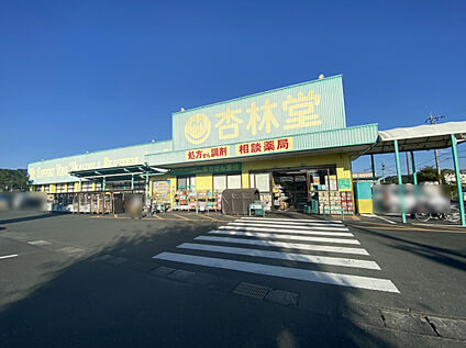 杏林堂薬局 引佐店 800ｍ(徒歩10分)