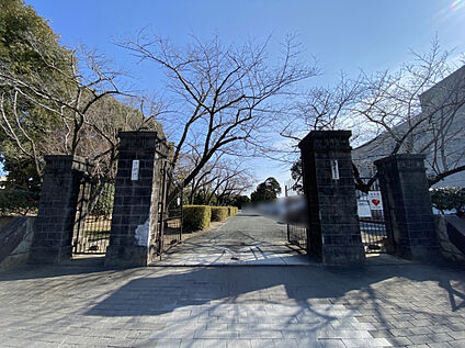 豊橋市立青陵中学校 270m(徒歩4分)