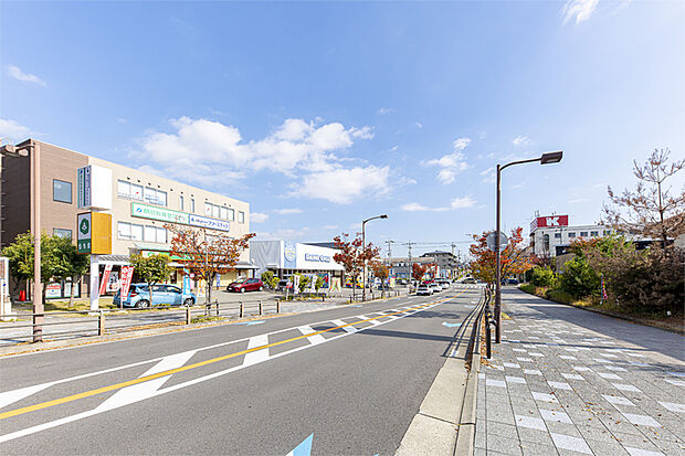 【現地周辺道路】
公園や緑地が点在し静かで穏やかな住環境、徒歩圏内にも充実の生活利便施設が整い暮らしに潤いを与えてくれる地です。