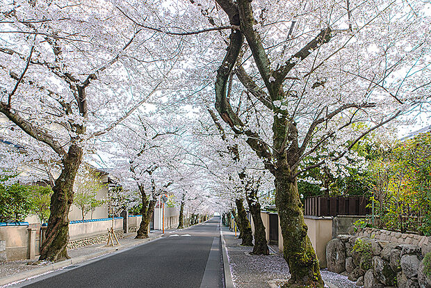 【現地周辺写真】
穏やかな住環境ながらも分譲地周辺には豊富な生活利便施設が揃い日々の暮らしがもっと便利に。