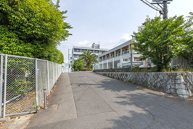 市立第三中学校（約550m・徒歩7分）