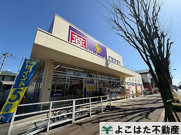 ウェルパーク小金井東町店(約590m)