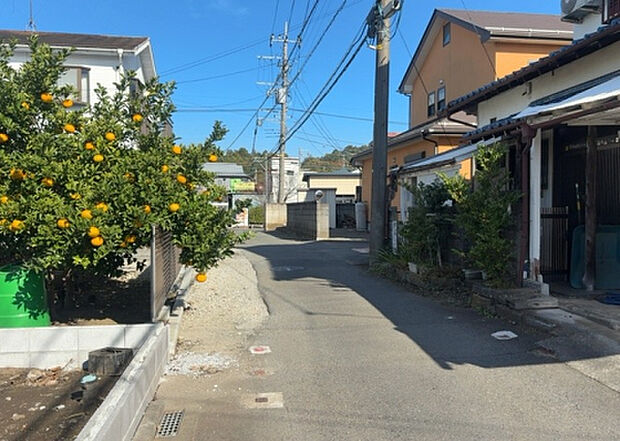 桜や紅葉の名所に出かける人は多いと思いますが、家にいながら季節の移ろいを感じる生活を送りませんか？リビングや窓から見える景色が生活を彩るワンポイントに！現地から見える景色を堪能してみては如何でしょう。