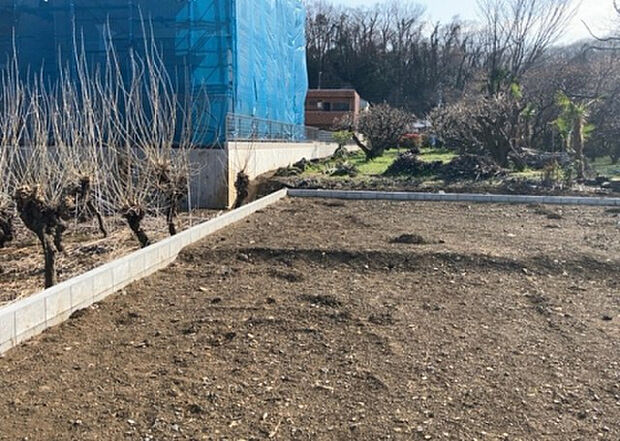 家族でのBBQを行うのであれば3坪程度の広さがあればよいでしょう。ガーデニングや家庭菜園を楽しむ際は、手入れが行き届く範囲にすると安心です。また、庭のある方角や接道が気になる方は事前に確認しましょう。