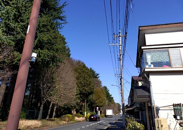 桜や紅葉の名所に出かける人は多いと思いますが、家にいながら季節の移ろいを感じる生活を送りませんか？リビングや窓から見える景色が生活を彩るワンポイントに！現地から見える景色を堪能してみては如何でしょう。
