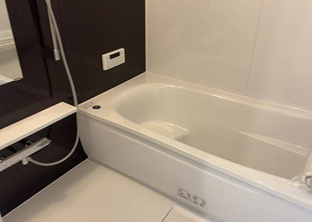 入浴時の快適さも大事なことですが、綺麗な状態を維持できなければ気持ちよく入浴できません。毎日の掃除が楽という点は大事なポイントになります!カビが生えにくく掃除がしやすい、壁や浴槽を選ぶといいでしょう。