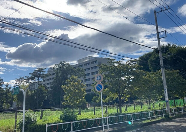桜や紅葉の名所に出かける人は多いと思いますが、家にいながら季節の移ろいを感じる生活を送りませんか?リビングや窓から見える景色が生活を彩るワンポイントに!現地から見える景色を堪能してみては如何でしょう。