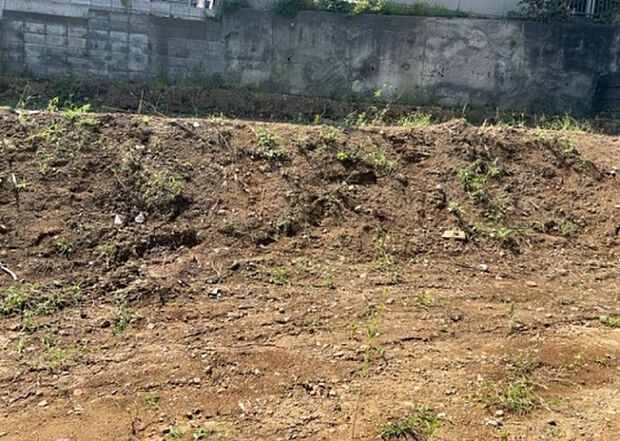 木造住宅とは土台、壁、柱など建築物の強度を支える構造体の材に木が使用されている構造を指します。構造体は建物の自重を支えるだけではなく風圧や水圧、積裁荷重などあらゆる衝撃に耐えるための基礎です。