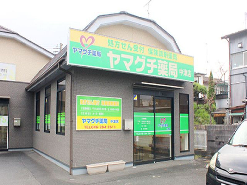 【買い物】ヤマグチ薬局中津店