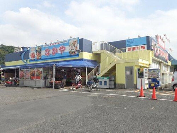 なかや入谷店（約1,272m）