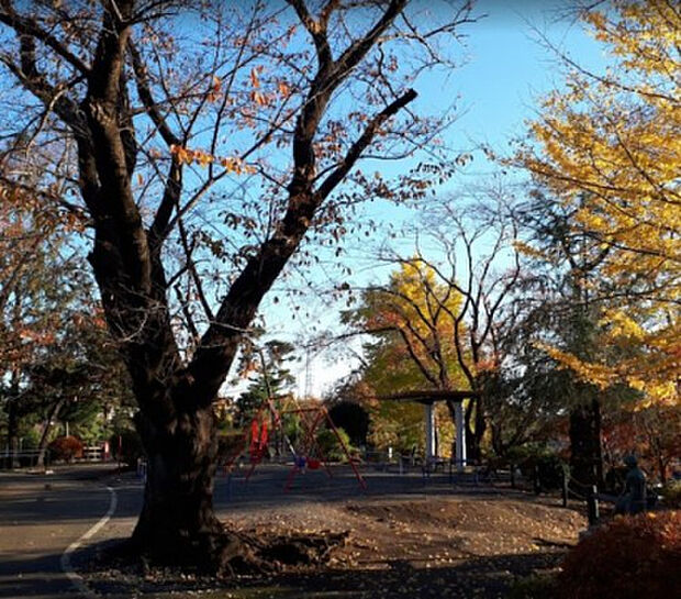 座間公園（約556m）