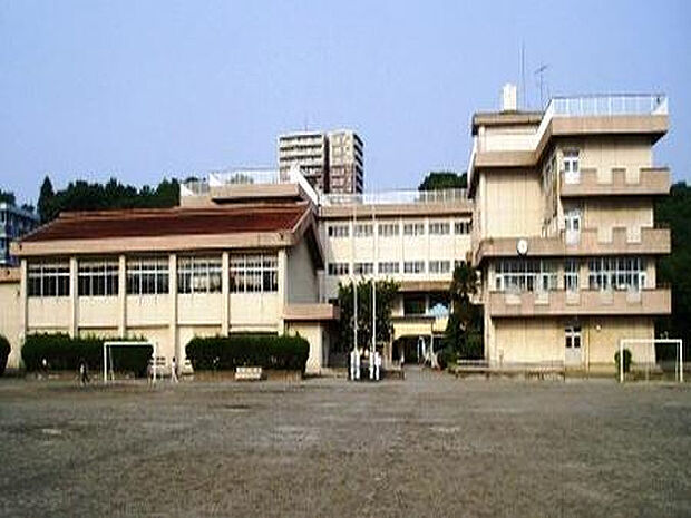 入谷小学校(約559m)