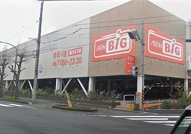 ザ・ビッグ相模原東橋本店（約225m）