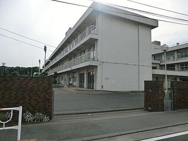 横山小学校（約559m）