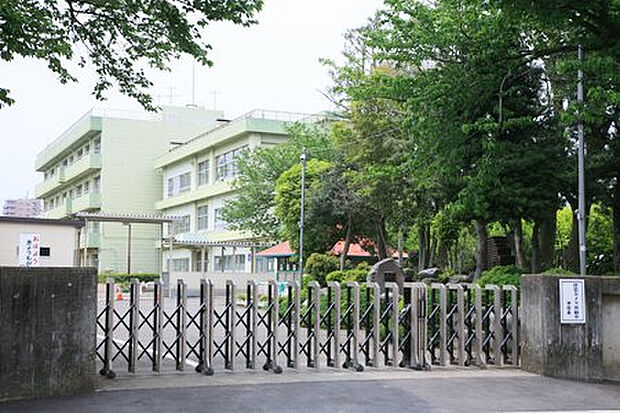 厚木小学校（約555m）