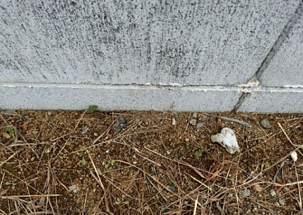 【構造・工法・仕様_2】ベタ基礎とは、柱の位置に関係なく全体に基礎がある事を指し、面積が大きい分建物の重さを全体に分散できます。また、地面からの湿気や害虫を遮断でき、木造住宅で心配されるシロアリ被害を防ぐ効果も期待できます。