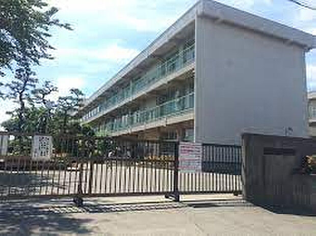 並木小学校（約270m）