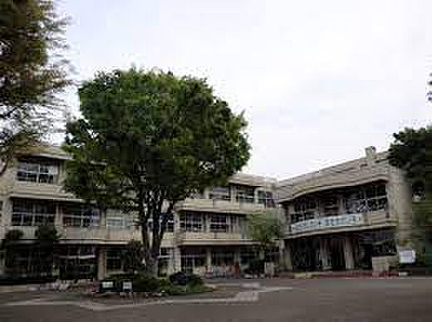 若松小学校(約692m)