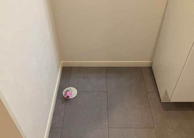 【ランドリースペース】ランドリースペースも気になります。洗濯機置場があり「洗う、干す、取り込む、アイロンがけ、たたむ」など、洗濯に関する家事をするための空間です。広さや収納など付帯設備も含めて、詳細は現地でご確認ください。