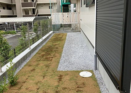 庭
