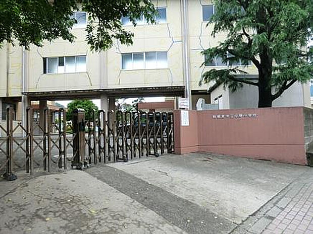 中野小学校（約555m）