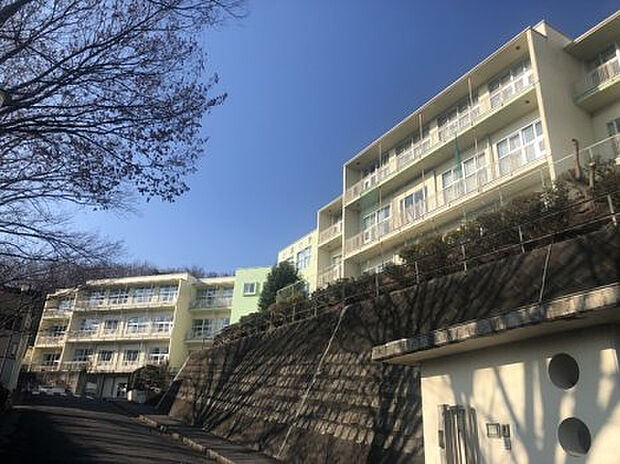 小宮小学校（約755m）