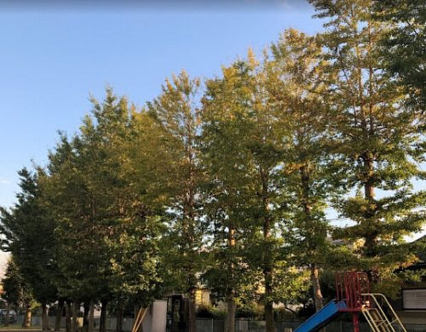 春日台第4公園（約565m）