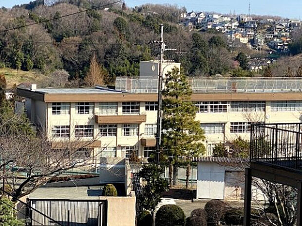 中山小学校(約712m)