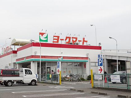 ヨークマート田名店 1387m(徒歩18分)