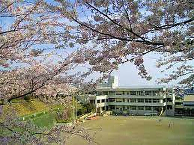 中原小学校(約462m)