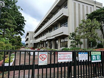 新宿小学校 980m(徒歩13分)