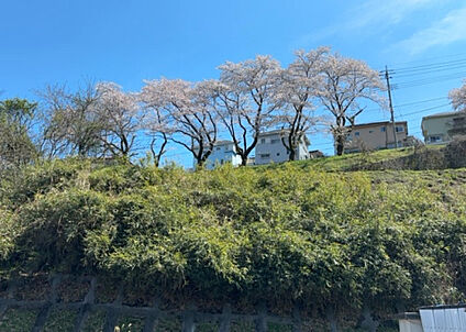 物件からの展望_2