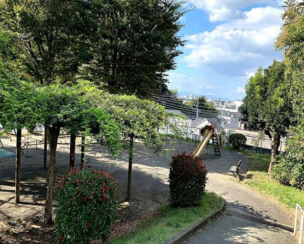 西谷戸公園(約231m)