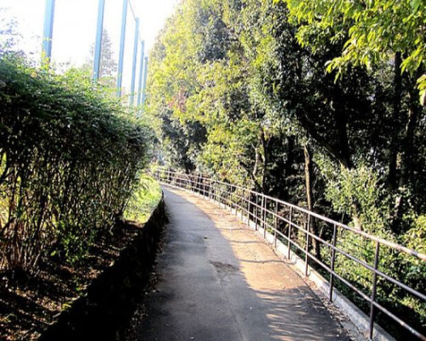 諏訪北公園(約482m)