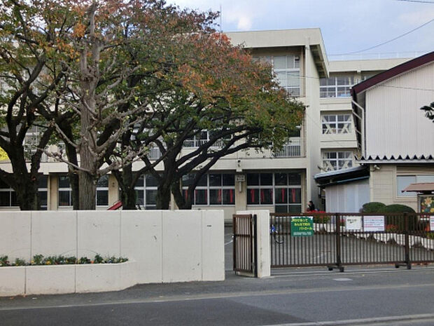 大野台小学校(約603m)