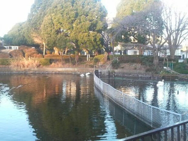 鹿沼公園(約769m)